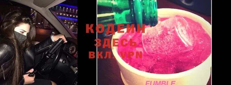 закладки  Ефремов  mega вход  Кодеиновый сироп Lean Purple Drank 