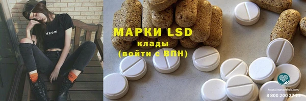 PSILOCYBIN Богданович